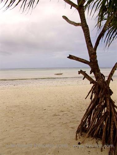 Hotel Dreams of Zanzibar, Hotelstrand, DSC07572b